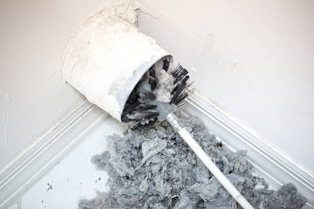 Air Duct Mold Removal in Johnstown, PA